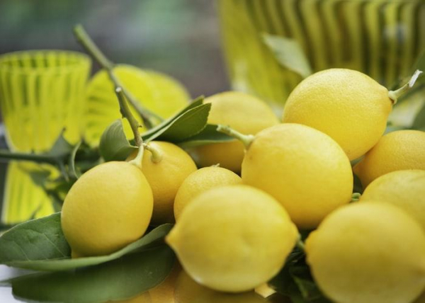 5 летних продуктов, которые помогут поднять иммунитет делайте полезный утренний напиток с использованием лимона