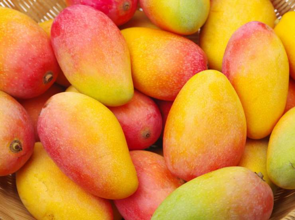 Три продукта, которые уменьшают количество морщин и темных пятен None3